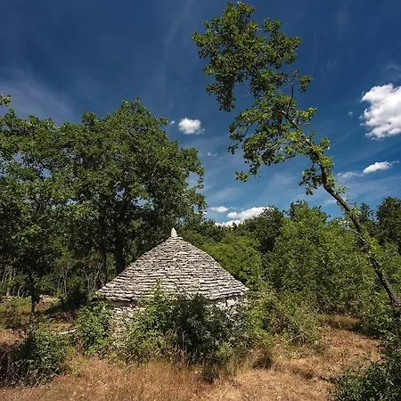 Martinetinka Holiday home Vodnjan